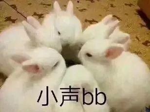 网红兔子吃瓜,揭秘娱乐圈幕后真相 第2张 网红兔子吃瓜,揭秘娱乐圈幕后真相 第2张