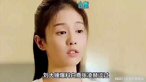 娱乐圈白鹿爆料,揭秘明星背后的真实故事  第2张