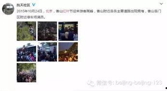 北京网红爆料视频播放大全,热门事件瞬间回顾 第1张 北京网红爆料视频播放大全,热门事件瞬间回顾 第1张