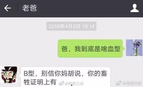最新搞笑的爆料,笑料百出,你绝对没看过! 第3张 最新搞笑的爆料,笑料百出,你绝对没看过! 第3张