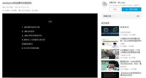 宋大姐网络爆料事件视频,揭秘背后真相与争议  第1张