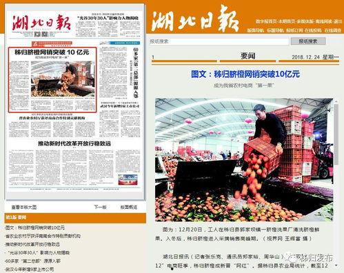 湖北日报新闻爆料,揭秘重大事件背后真相  第1张