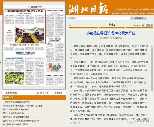湖北日报新闻爆料,揭秘重大事件背后真相  第3张