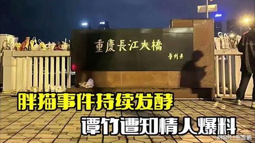 谭竹事件爆料最新消息,揭秘背后惊人真相  第3张