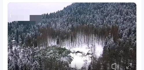 天鹅林场最新爆料视频,最新爆料视频揭秘惊人真相 第1张 天鹅林场最新爆料视频,最新爆料视频揭秘惊人真相 第1张