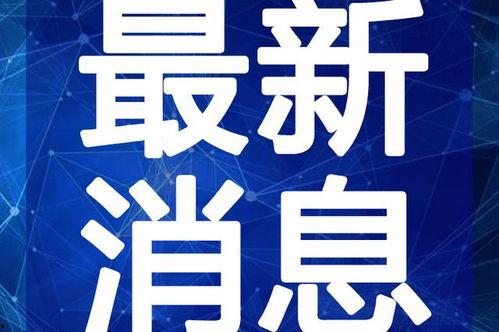 爆料江南买菜视频大全最新,揭秘明星日常生活中的温馨瞬间